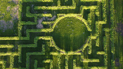 Green maze from the above