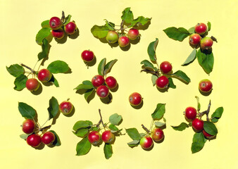 Ripe red decorative apples and leaves on yellow background. Top view, flat lay