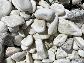 Light gray pebbles. Photo texture