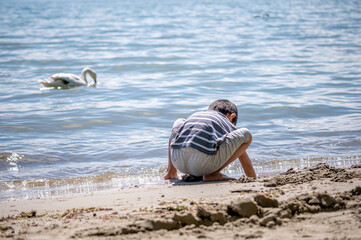 Child playing sands on the beach while swan swimming in water. One little Asian boy in casual clothing with cygnus olor in Switzerland. Mute swan.