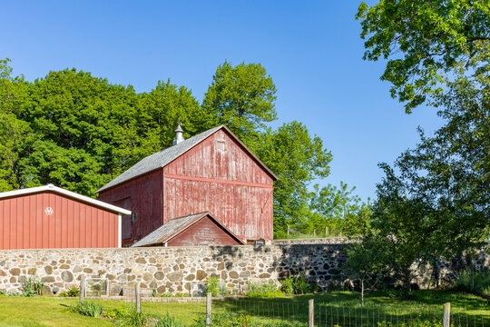 A small faded red barn with a milk house, shed, and stone barnyard wall on a clear sunny day.