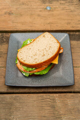 Buffalo Chicken Cheese Sandwich