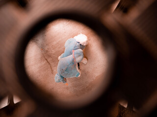 Animal de peluche solo y encerrado