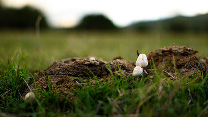 Los viajes te permiten visitr distintos lugares, culturas y ambientes.