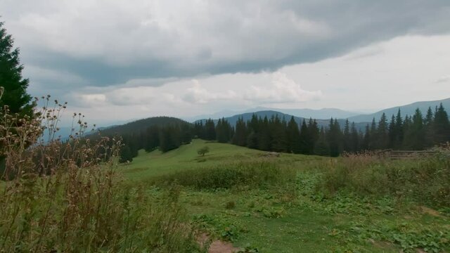 walking on trail pass in carpathian forest summer day.