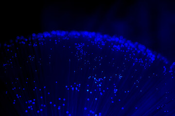 colored fiber optic in the dark