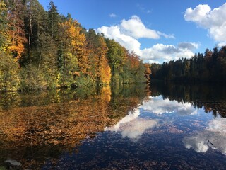 Gattiker Waldweiher im Herbst