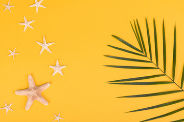 Beach accessories: glasses and hat with shells and sea stars on a colored background