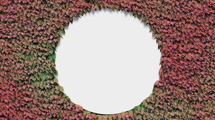 Foliage round blank white paper background