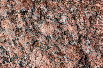 The surface and texture of the stone from the coast of the bay