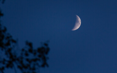 Obraz na płótnie Canvas crescent moon with dark blue sky