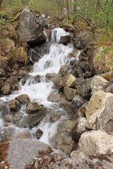 waterfall in the forest - Bondhusvatnet 