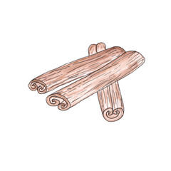 Hand drawn watercolor cinnamon illustration.