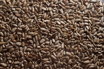 Background of peeled sunflower seeds. background of food