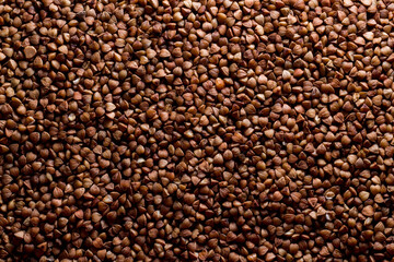 Background of buckwheat. brown natural background. texture