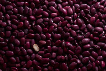red kidney beans