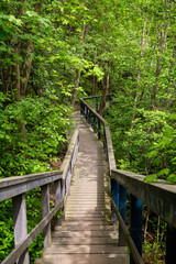 Wooden walkway at the Vantaankoski nature trail in Vantaa, Finland, on a sunny day in the summer.