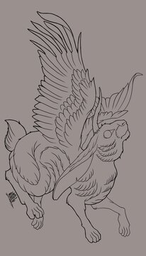 Entre nubes y liebres