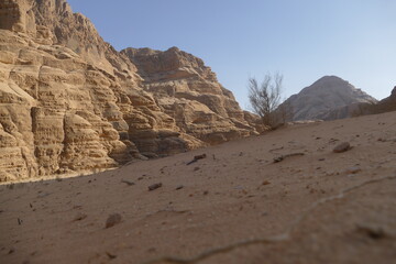 Fototapeta premium Jordanie