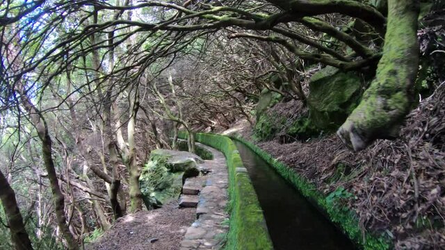Walking by a levada irrigation channel in Madeira, Portugal