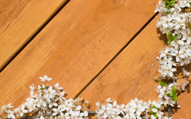 Wooden background framed by a flowering branch