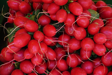 Frische Radieschen auf einem Marktstand close up