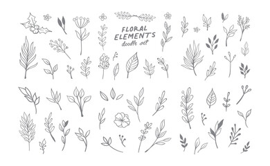 Floral and herbal ornament hand drawn designs. Leaves and branches nature doodles.