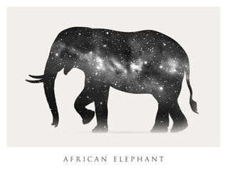 Elephant silhouette. Abstract animal shape. Night starry sky