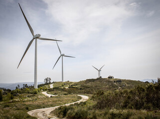 wind turbines farm