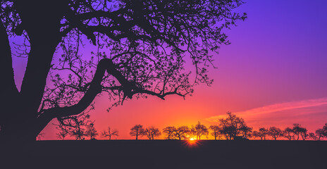mystical sunrise