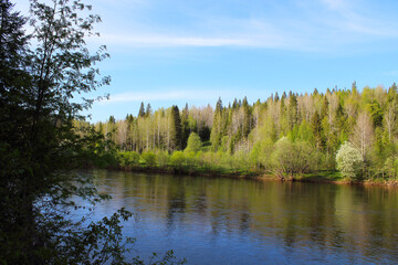 Obraz premium Beautiful river and forest. Scenery. Background.