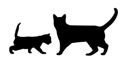 Cat and kitten vector