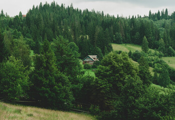 Close-up mountain slope overgrown with trees and lush green grass, small houses at foot mountain. Ukraine, Carpathian mountains