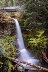 Random Waterfall with Bridge