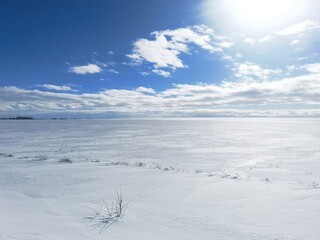 
snowy sunny distance of fields 