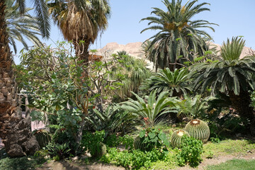 Ein Gedi Botanical Garden on the shores of the Dead Sea