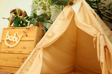 interior of a children's room or recreation area: a wigwam with soft pillows, a wooden nightstand made of environmentally friendly materials. plastic plants to decorate the space © skeronov