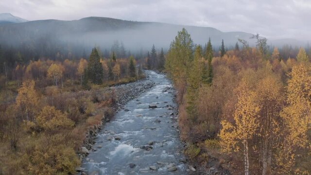 Flying along cold river and colorful autumn forest covered by fog and low clouds. Clip. Natural landscape with a wild mountain river and mixed colorful forest.