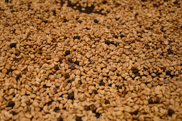 coffee background
