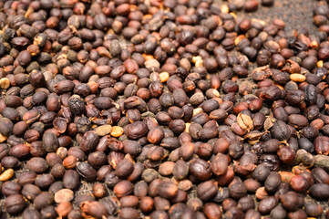 Coffe beans