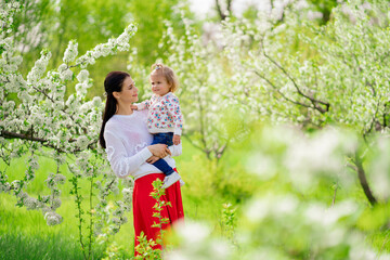 Fototapeta premium mom on a walk with a daughter in her arms in the park with a flowering trees. 