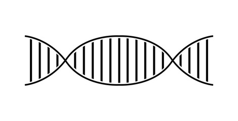 Simple DNA strand vector, spiral illustration symbol