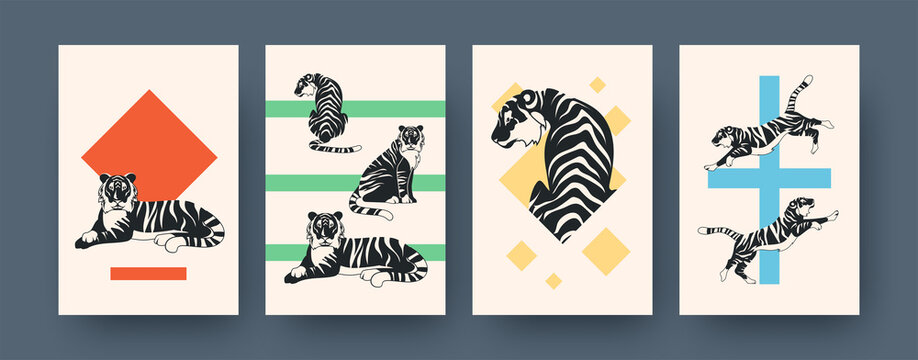 Set of contemporary art posters with active tiger. Vector illustration. Collection of running, sitting, lying tiger in flat design. Africa, animal, wildlife, cat, jungle concept for media design