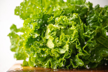 Obraz premium splashed water from dropped green leaf lettuce