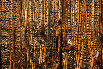 Carbonized Wood. The ancient traditional Japanese technique Sho Sugi Ban. © Renata Barbarino
