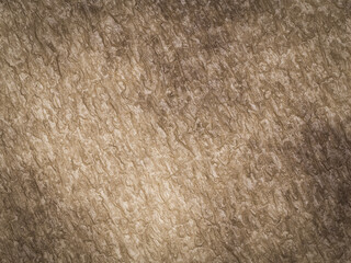 3D rendeing brown wood bark background.