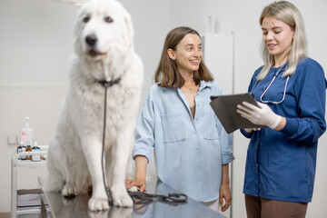Veterinarian and owner speaking about examination and procedure of big white fluffy dog sitting on...