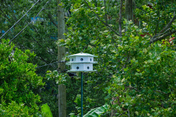 Double-decker Bird House on a Pole