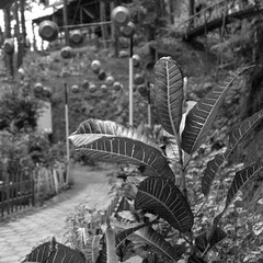 Photos of buildings and rides at the BUKIT SIKRIKIL tourist spot in Wadaslintang Wonosobo Regency