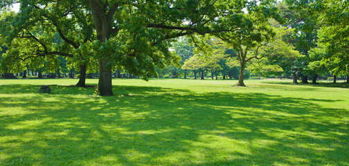 green garden
